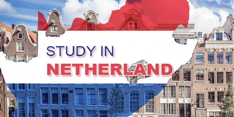 Studying in the Netherlands as an international student