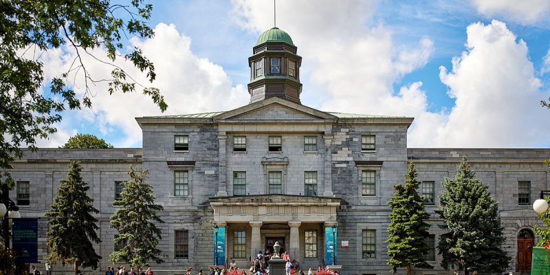 Mcgill University