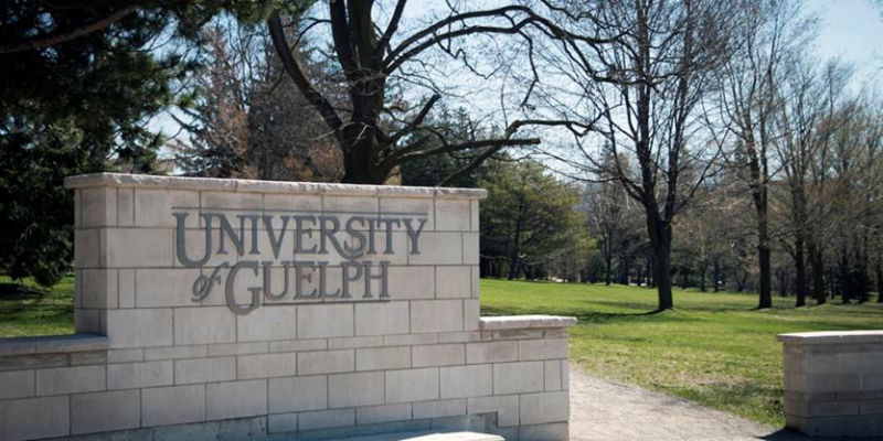 University of Guelph