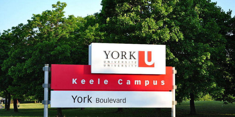 York University